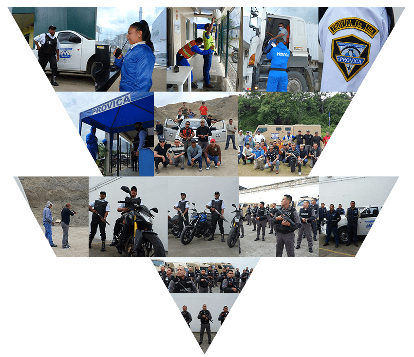 Equipo técnico de Provica